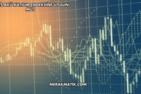 Yiğit Akü Katılım Endeksine Uygun mu?