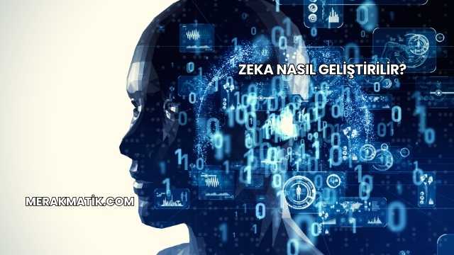 Zeka Nasıl Geliştirilir?