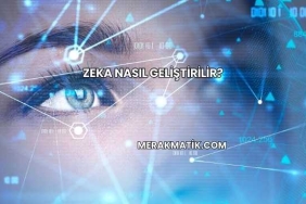 Zeka Nasıl Geliştirilir?