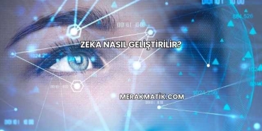 Zeka Nasıl Geliştirilir?