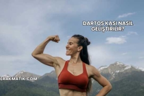Dartos Kası Nasıl Geliştirilir?