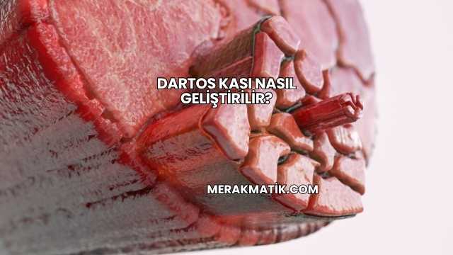 Dartos Kası Nasıl Geliştirilir?