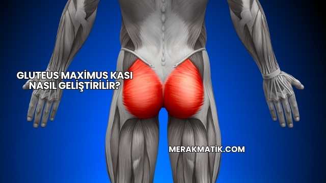 Gluteus Maximus Kası Nasıl Geliştirilir?