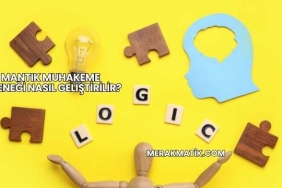 Mantık Muhakeme Yeteneği Nasıl Geliştirilir?