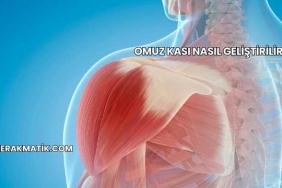 Omuz Kası Nasıl Geliştirilir?