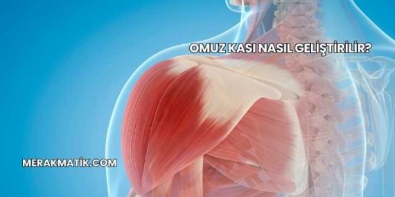 Omuz Kası Nasıl Geliştirilir?