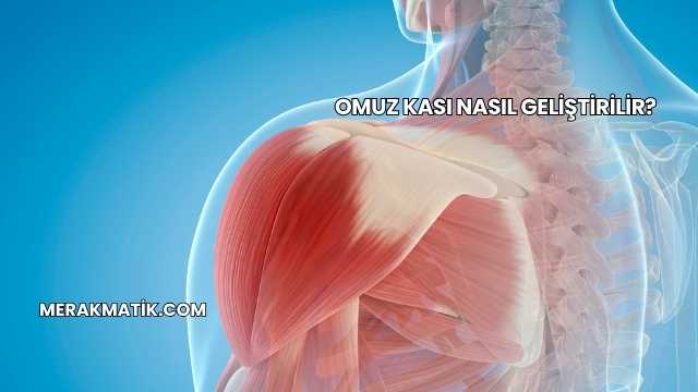 Omuz Kası Nasıl Geliştirilir?