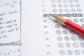 Şınav Nasıl Geliştirilir?