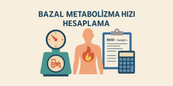 Bazal Metabolizma Hızı Hesaplama