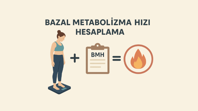 Bazal Metabolizma Hızı Hesaplama