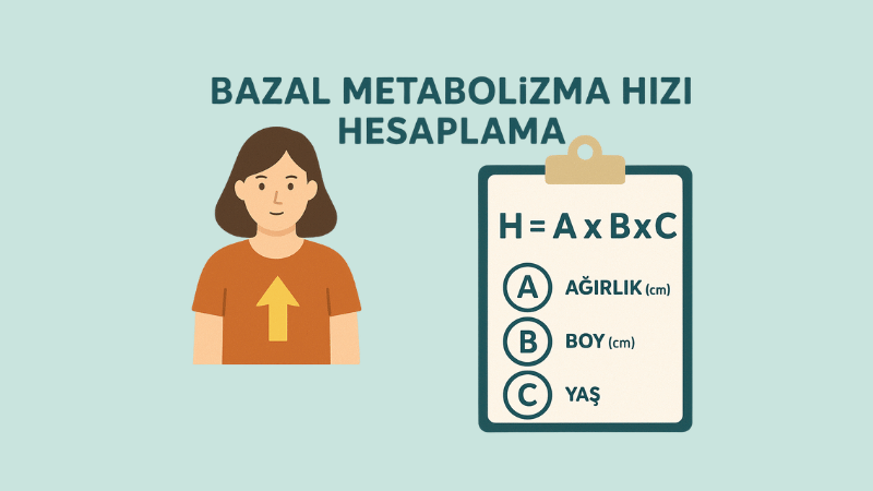 Bazal Metabolizma Hızı Hesaplama