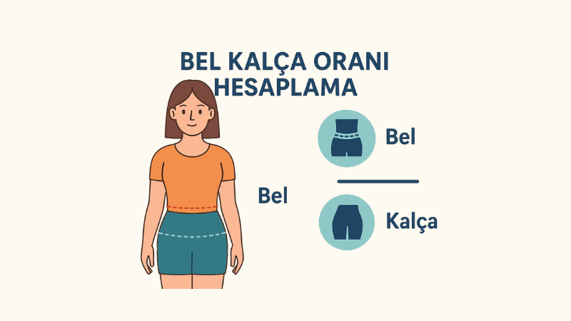 Bel Kalça Oranı Hesaplama