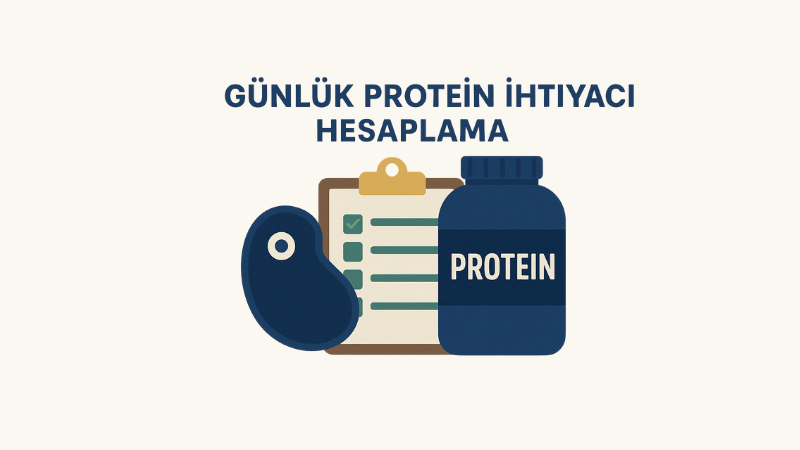 Günlük Protein İhtiyacı Hesaplama