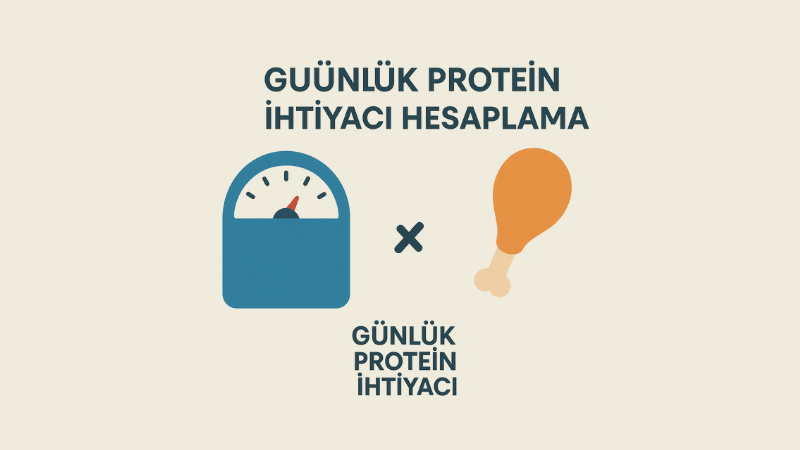 Günlük Protein İhtiyacı Hesaplama