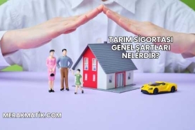 Tarım Sigortası Genel Şartları Nelerdir?