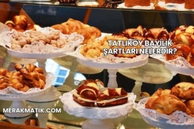 Tatlıköy Bayilik Şartları Nelerdir?