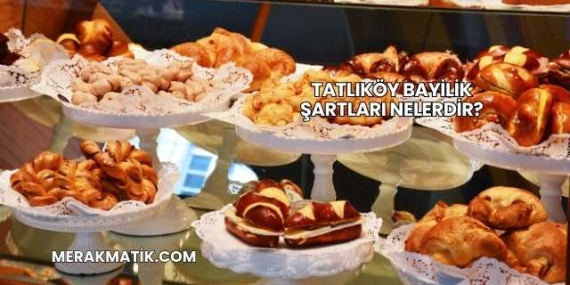 Tatlıköy Bayilik Şartları Nelerdir?