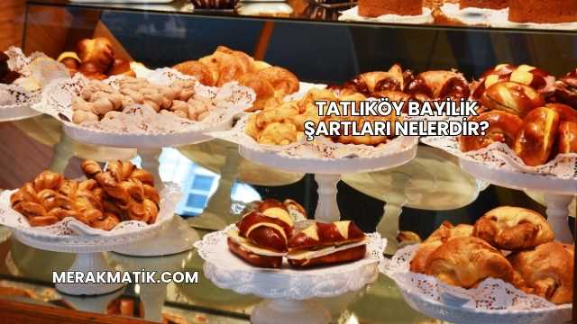 Tatlıköy Bayilik Şartları Nelerdir?