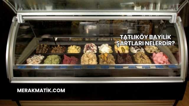 Tatlıköy Bayilik Şartları Nelerdir?