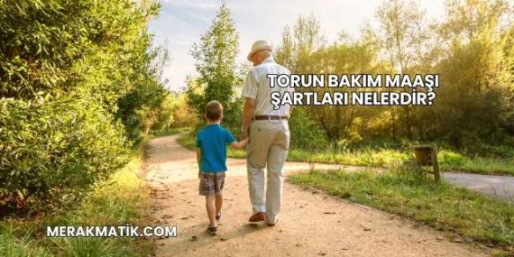Torun Bakım Maaşı Şartları Nelerdir?