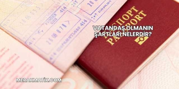 Vatandaş Olmanın Şartları Nelerdir?