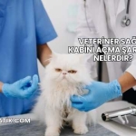 Veteriner Sağlık Kabini Açma Şartları Nelerdir?