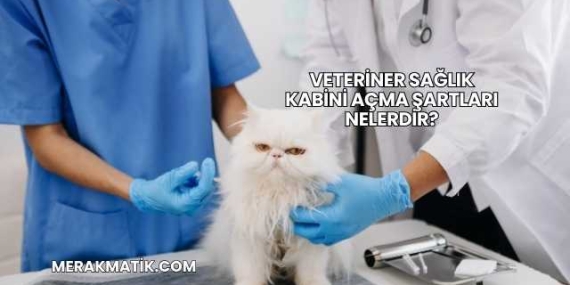 Veteriner Sağlık Kabini Açma Şartları Nelerdir?