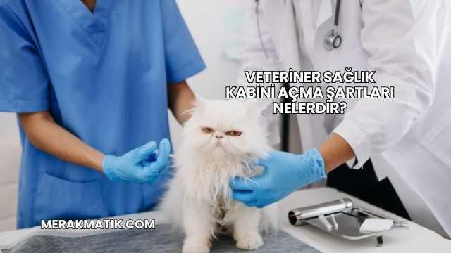 Veteriner Sağlık Kabini Açma Şartları Nelerdir?