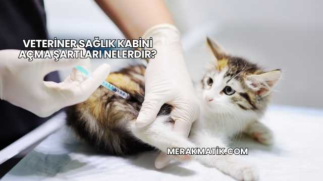 Veteriner Sağlık Kabini Açma Şartları Nelerdir?