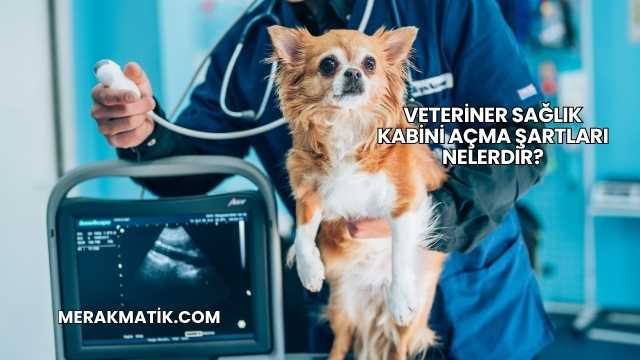 Veteriner Sağlık Kabini Açma Şartları Nelerdir?