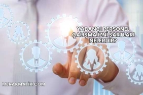 Yabancı Personel Çalışma İzni Şartları Nelerdir?