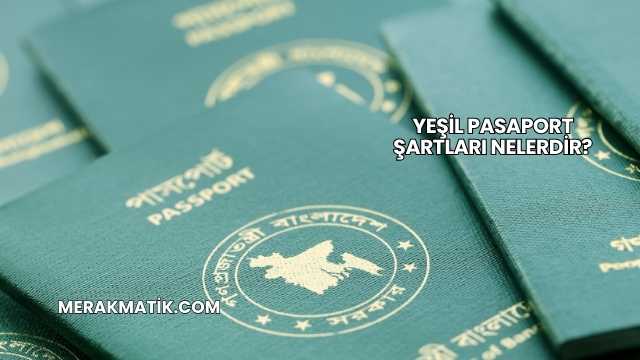 Yeşil Pasaport Şartları Nelerdir?