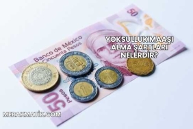 Yoksulluk Maaşı Alma Şartları Nelerdir?