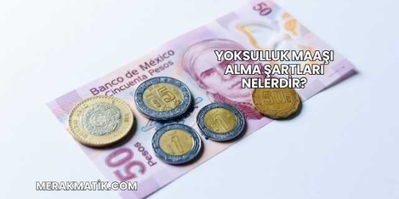 Yoksulluk Maaşı Alma Şartları Nelerdir?