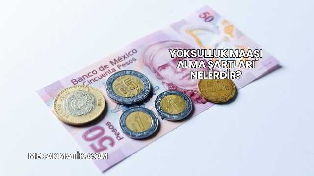 Yoksulluk Maaşı Alma Şartları Nelerdir?