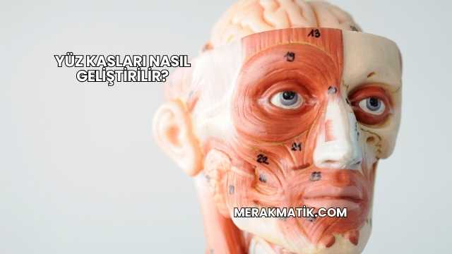 Yüz Kasları Nasıl Geliştirilir?