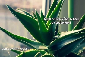 Aloe Vera Yüze Nasıl Uygulanır?