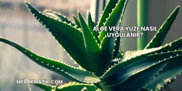 Aloe Vera Yüze Nasıl Uygulanır?