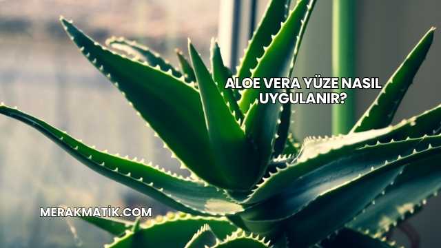 Aloe Vera Yüze Nasıl Uygulanır?