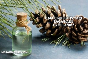Cam Terebentin Yağı Saça Nasıl Uygulanır?
