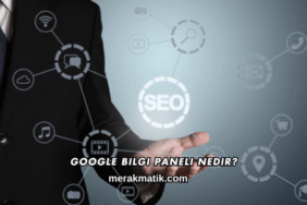 Google Bilgi Paneli Nedir?