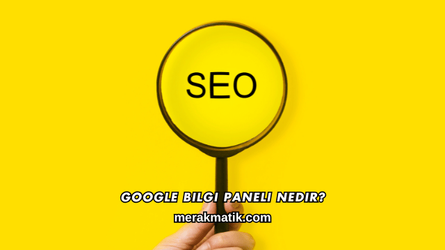 Google Bilgi Paneli Nedir?