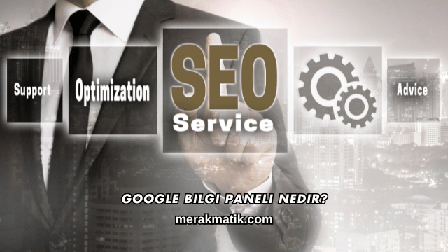 Google Bilgi Paneli Nedir?