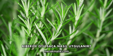 Biberiye Otu Saça Nasıl Uygulanır?