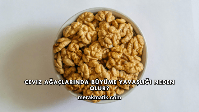 Ceviz Ağaçlarında Büyüme Yavaşlığı Neden Olur?