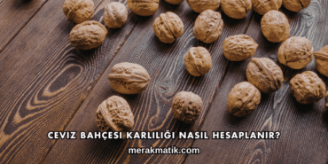 Ceviz Bahçesi Karlılığı Nasıl Hesaplanır?