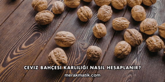 Ceviz Bahçesi Karlılığı Nasıl Hesaplanır?