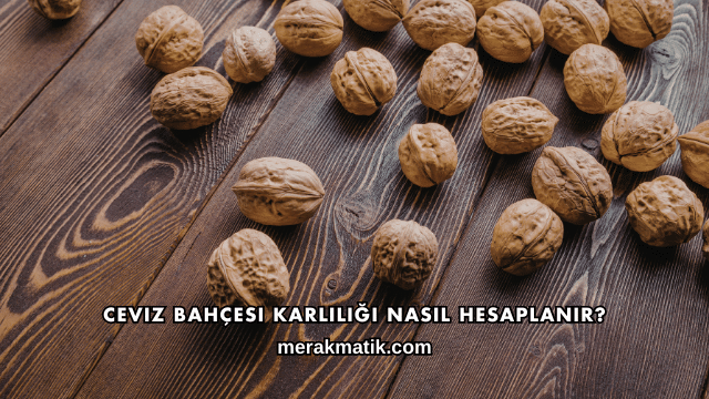 Ceviz Bahçesi Karlılığı Nasıl Hesaplanır?