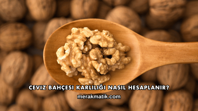 Ceviz Bahçesi Karlılığı Nasıl Hesaplanır?