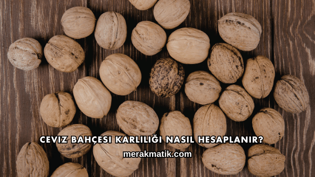 Ceviz Bahçesi Karlılığı Nasıl Hesaplanır?